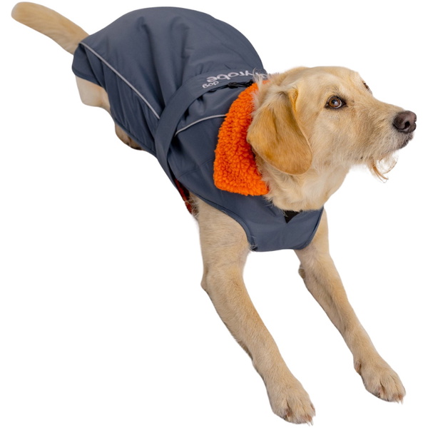 2026 Dryrobe Dog Coat V3DRDC - Dark Grey / Orange
